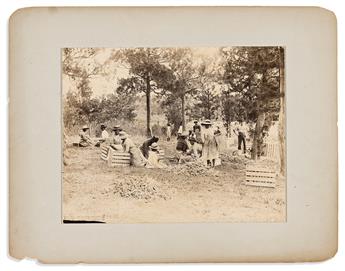 (BERMUDA.) [N.E. Lusher], photographer. Group of large Bermuda views.